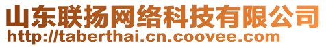 山東聯(lián)揚網(wǎng)絡科技有限公司