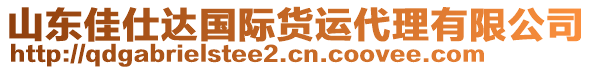 山東佳仕達(dá)國際貨運(yùn)代理有限公司