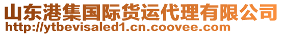 山東港集國際貨運代理有限公司