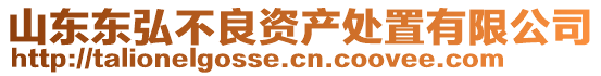 山東東弘不良資產處置有限公司