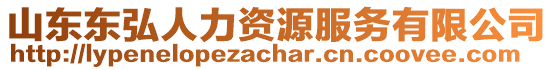 山東東弘人力資源服務有限公司