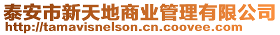 泰安市新天地商業(yè)管理有限公司