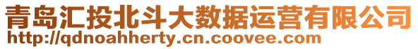 青島匯投北斗大數(shù)據(jù)運營有限公司