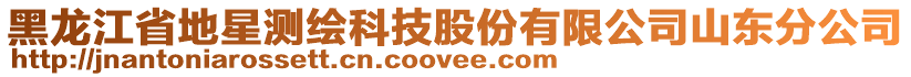 黑龍江省地星測繪科技股份有限公司山東分公司