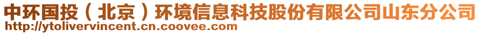 中環(huán)國(guó)投（北京）環(huán)境信息科技股份有限公司山東分公司