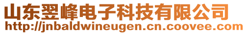 山東翌峰電子科技有限公司