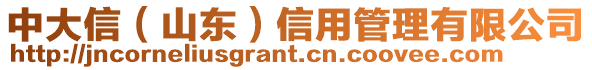 中大信（山東）信用管理有限公司