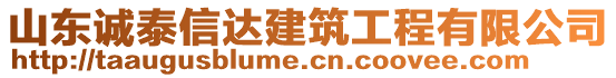 山東誠泰信達建筑工程有限公司