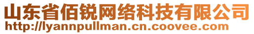 山東省佰銳網絡科技有限公司