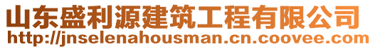 山東盛利源建筑工程有限公司