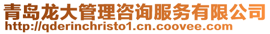 青島龍大管理咨詢服務有限公司