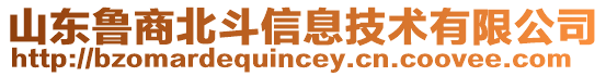 山東魯商北斗信息技術(shù)有限公司