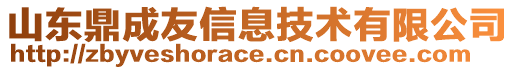 山東鼎成友信息技術(shù)有限公司