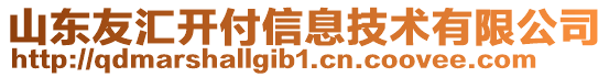 山東友匯開付信息技術(shù)有限公司