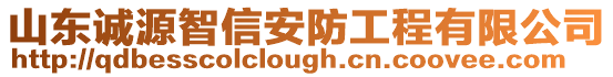 山東誠源智信安防工程有限公司