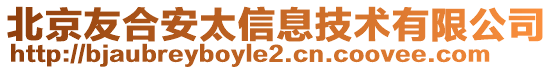 北京友合安太信息技術(shù)有限公司