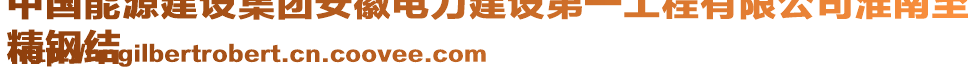 中國(guó)能源建設(shè)集團(tuán)安徽電力建設(shè)第一工程有限公司淮南至
精鋼結(jié)