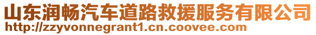 山東潤(rùn)暢汽車(chē)道路救援服務(wù)有限公司