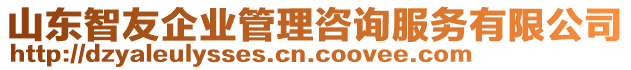 山東智友企業(yè)管理咨詢服務(wù)有限公司