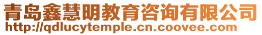 青島鑫慧明教育咨詢有限公司