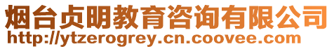 煙臺貞明教育咨詢有限公司