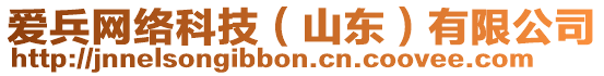 愛(ài)兵網(wǎng)絡(luò)科技（山東）有限公司