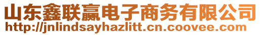 山東鑫聯(lián)贏電子商務(wù)有限公司