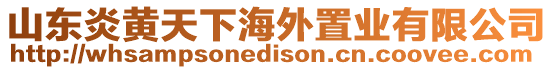 山東炎黃天下海外置業有限公司