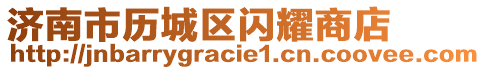 濟(jì)南市歷城區(qū)閃耀商店