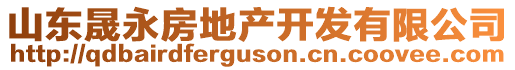 山東晟永房地產開發有限公司