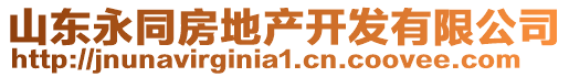 山東永同房地產開發有限公司