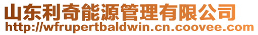 山東利奇能源管理有限公司