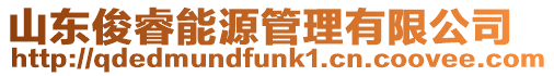 山東俊睿能源管理有限公司