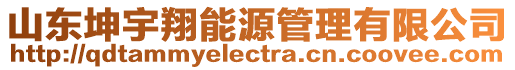 山東坤宇翔能源管理有限公司
