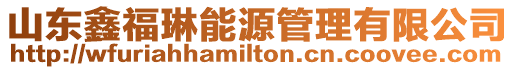 山東鑫福琳能源管理有限公司