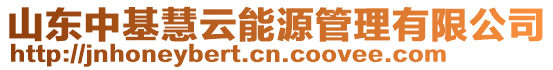 山東中基慧云能源管理有限公司