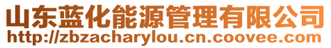 山東藍(lán)化能源管理有限公司