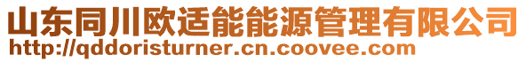 山東同川歐適能能源管理有限公司