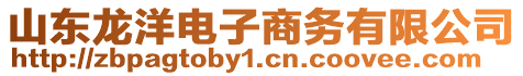 山東龍洋電子商務(wù)有限公司