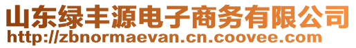 山东绿丰源电子商务有限公司