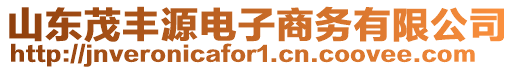 山東茂豐源電子商務(wù)有限公司