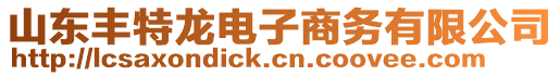 山東豐特龍電子商務(wù)有限公司