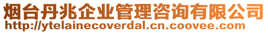 煙臺丹兆企業(yè)管理咨詢有限公司