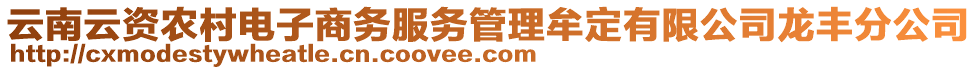 云南云資農(nóng)村電子商務(wù)服務(wù)管理牟定有限公司龍豐分公司