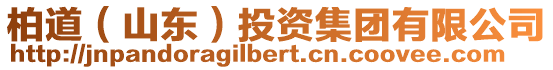 柏道（山東）投資集團有限公司