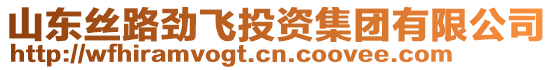 山東絲路勁飛投資集團有限公司