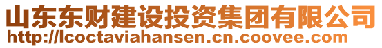 山東東財建設投資集團有限公司