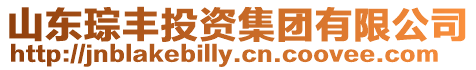 山東琮豐投資集團有限公司