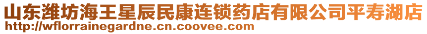 山東濰坊海王星辰民康連鎖藥店有限公司平壽湖店