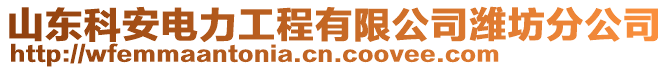 山東科安電力工程有限公司濰坊分公司